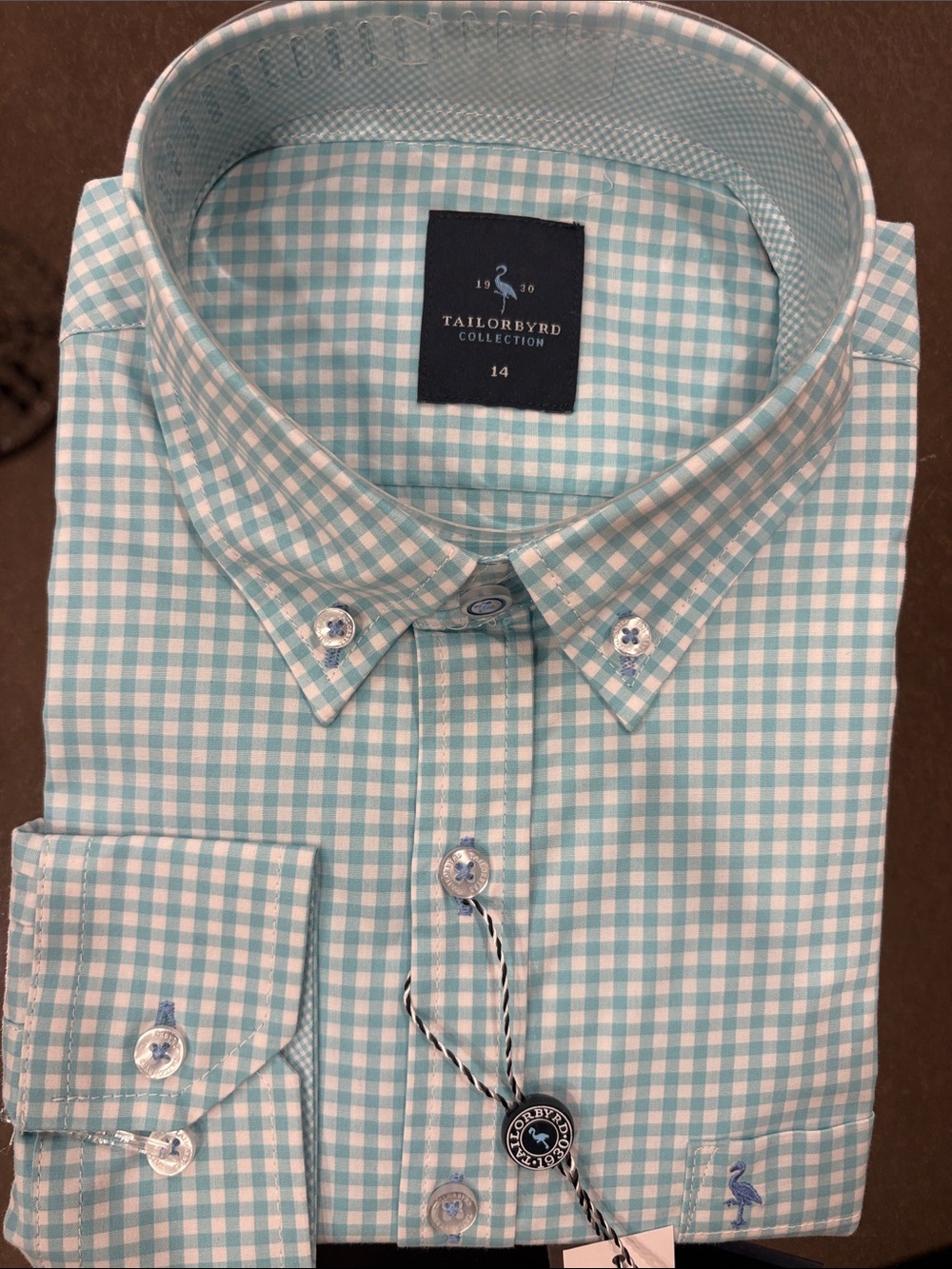 Tailorbyrd Men's Mint and White Gingham Button-Down Shirt